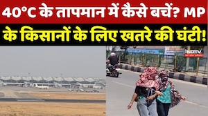 MP News: Indore, Bhopal और Ujjain में गर्मी ने शुरू किया कहर! खेतों में आग की घटनाएं बढ़ीं