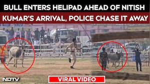 Bull Enters Helipad Ahead Of Nitish Kumar&rsquo;s Arrival, Police Chase It Away
