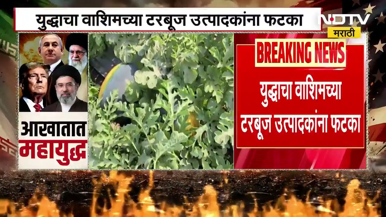 War Impact| आखाती युद्धाचा परिणाम; वाशिमच्या टरबूज उत्पादकांना फटका, निर्यात ठप्प,टरबुजाचे दर घसरले
