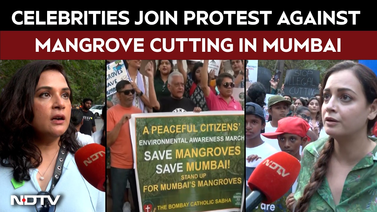 Mumbai News | Celebrities, Activists Protest Against Mangrove Felling For Coastal Road In Mumbai