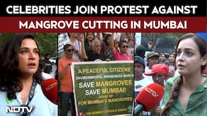 Mumbai News | Celebrities, Activists Protest Against Mangrove Felling For Coastal Road In Mumbai