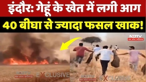 Indore News: गेहूं के खेत में लगी भीषण आग, 40 बीघा से ज्यादा फसल जलकर राख! MPCG News | Top News