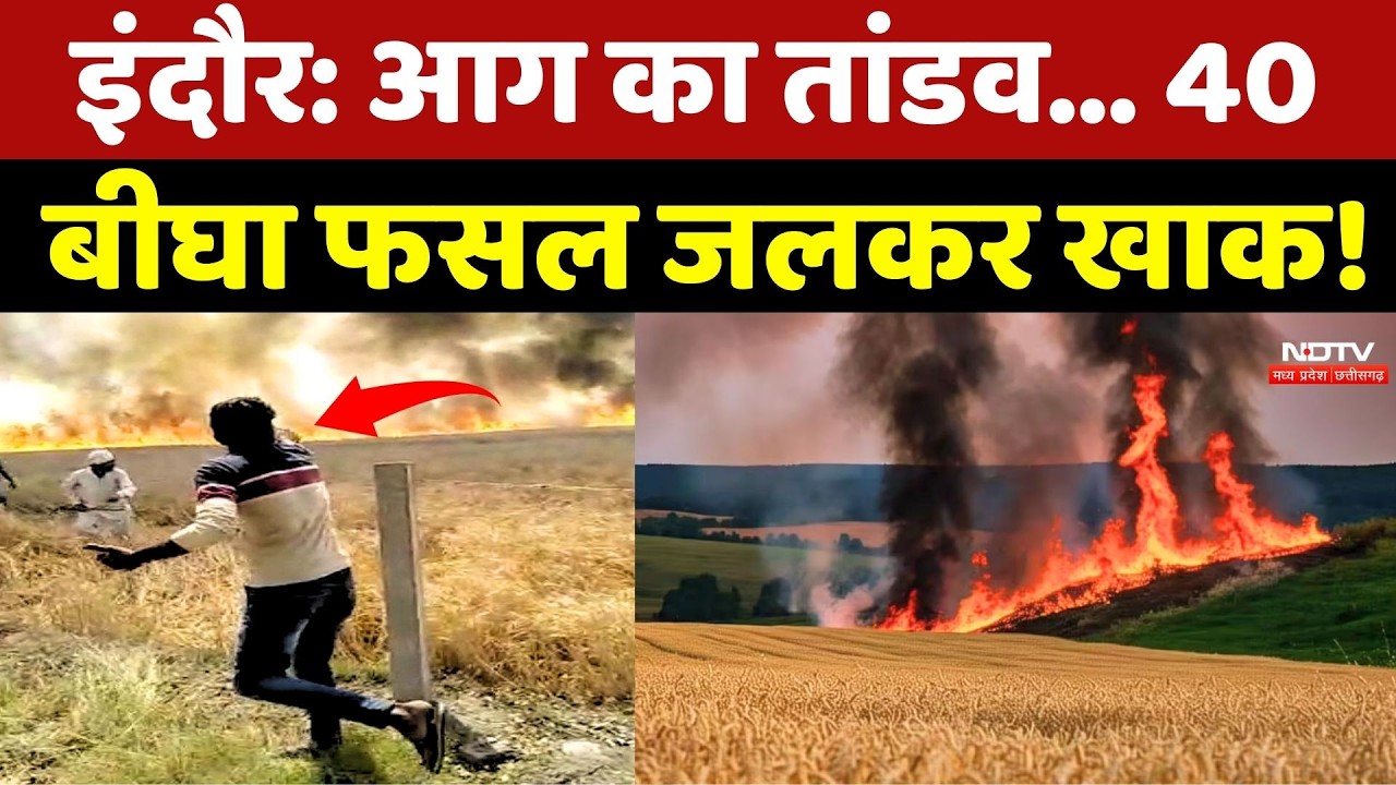 Indore में आग का तांडव... 40 बीघा फसल जलकर खाक!