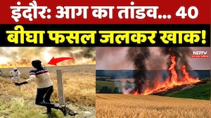 Indore में आग का तांडव... 40 बीघा फसल जलकर खाक!
