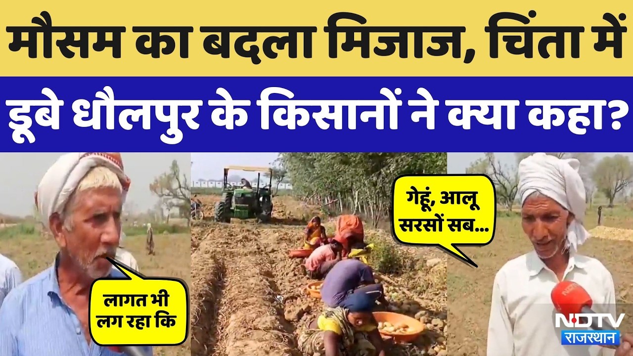 Dholpur News: मौसम ने बढ़ाई किसानों की चिंता, सुनिए क्या कुछ कहा? Rajasthan News | Top News