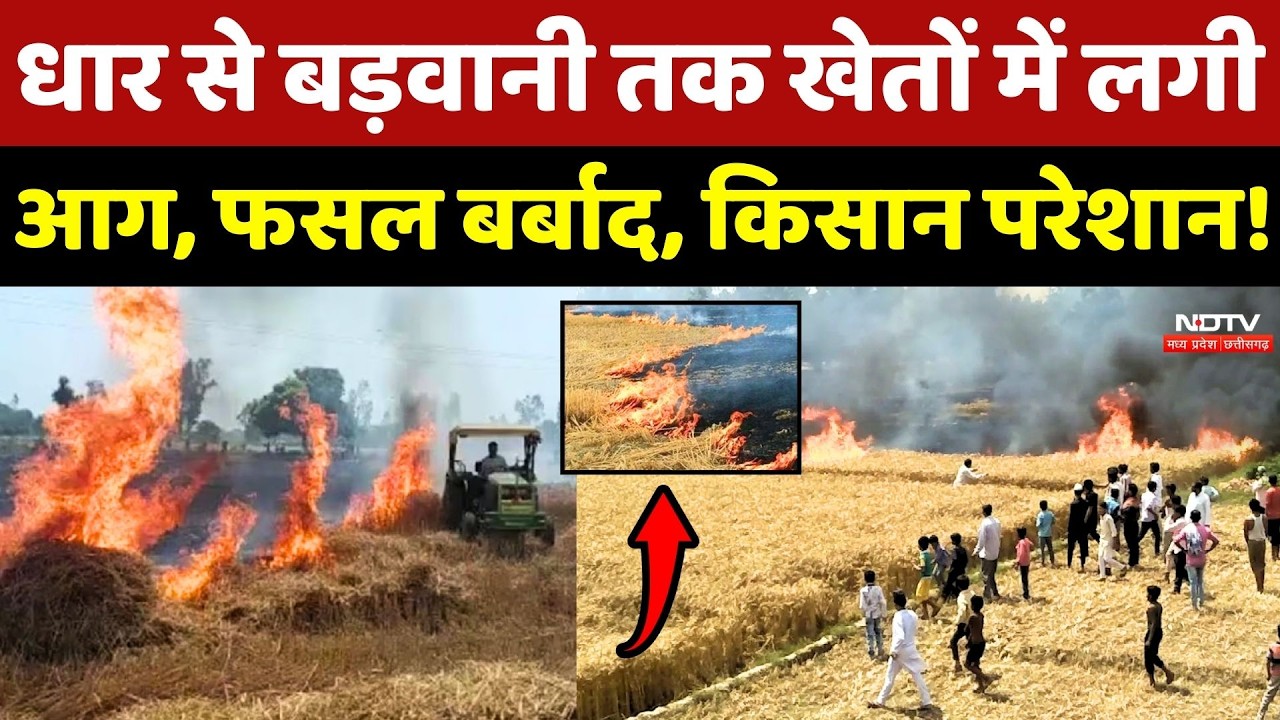 Dhar, Harda से लेकर Barwani तक खेतों में लगी आग, फसल बर्बाद, किसान परेशान!