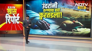 Special Report। ICUमध्ये उंदरांचा हैदोस, वृद्ध महिलेचा मृत्यू;  आरोग्य यंत्रणेचा बोजवारा! Bhayandar