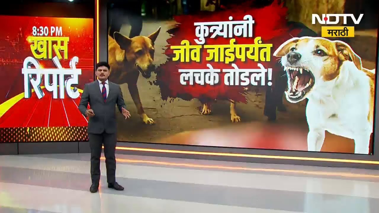Special Report |भटक्या कुत्र्यांच्या झुंडीने केलेल्या हल्ल्यात एका महिलेचा मृत्यू; हैदोस CCTVत कैद