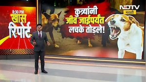 Special Report |भटक्या कुत्र्यांच्या झुंडीने केलेल्या हल्ल्यात एका महिलेचा मृत्यू; हैदोस CCTVत कैद