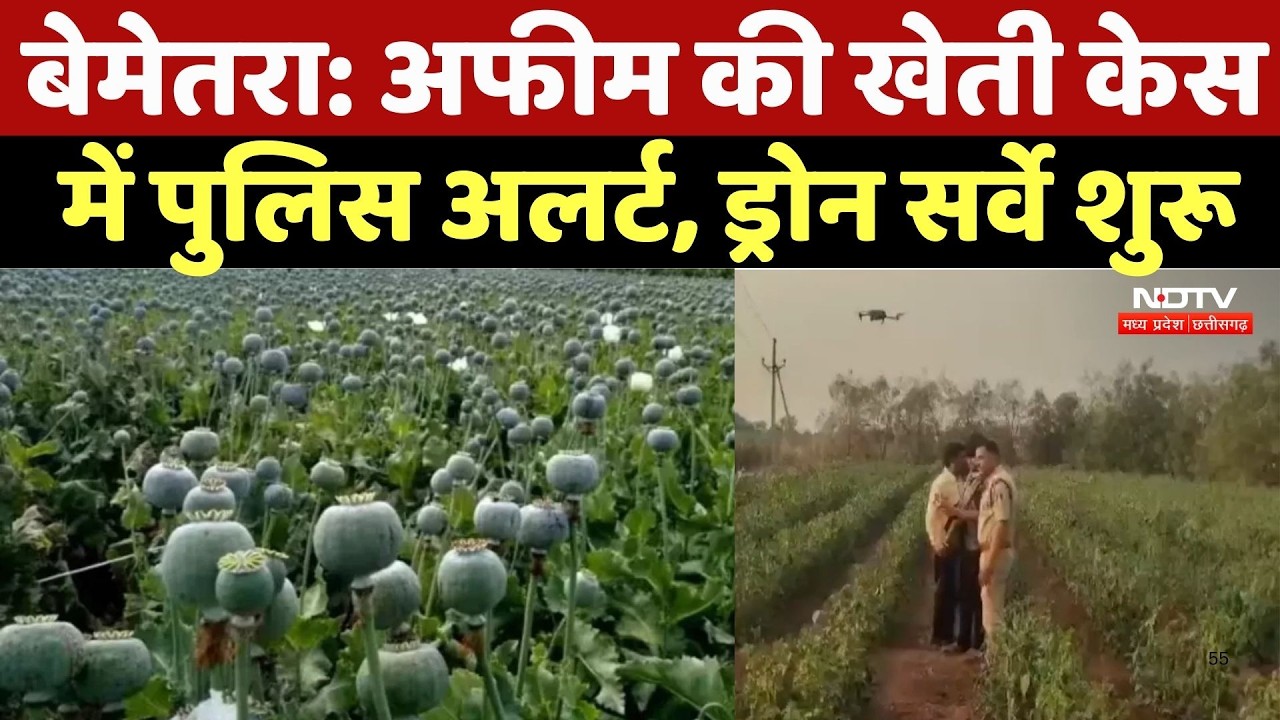 Opium Farming Case: अफीम की खेती केस में पुलिस अलर्ट, ड्रोन सर्वे शुरू |Durg Case | Bemetara | Breaking
