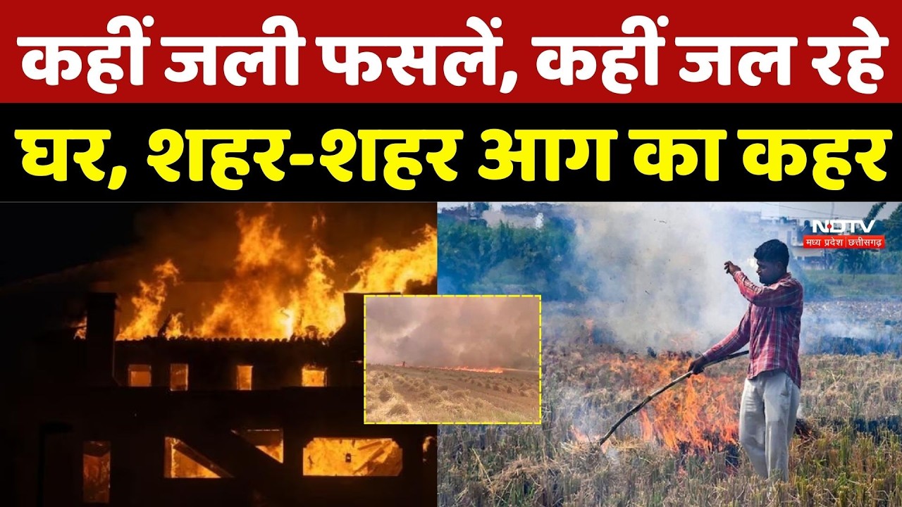 Fire In MP-Chhattisgarh: कहीं आग से जली फसल तो कहीं जल रहे घर, आखिर क्या है वजह? Dewas | Tikamgarh