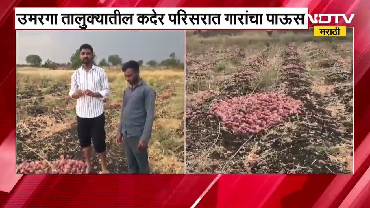 Dharashiv Unseasonal Rain| लोहारासह,उमरगा तालुक्यातील कदेर परिसरात गारांचा पाऊस, शेती पिकांचे नुकसान