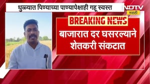Dhule|  पिण्याच्या पाण्यापेक्षाही गहू स्वस्त; गव्हाला भाव कवडीमोल, दर घसरल्याने शेतकरी संकटात