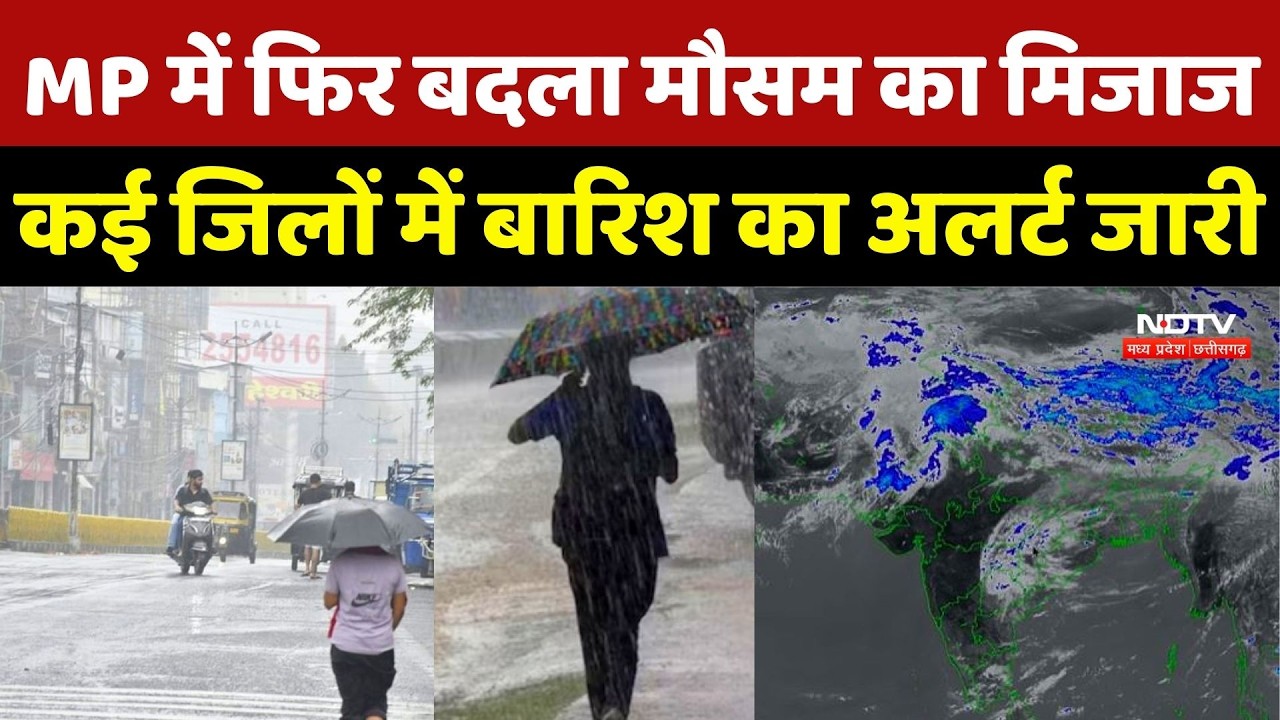 Rain In MP: MP में फिर बदला मौसम का मिजाज, कई जिलों में बारिश का Alert जारी | Weather Update | MP