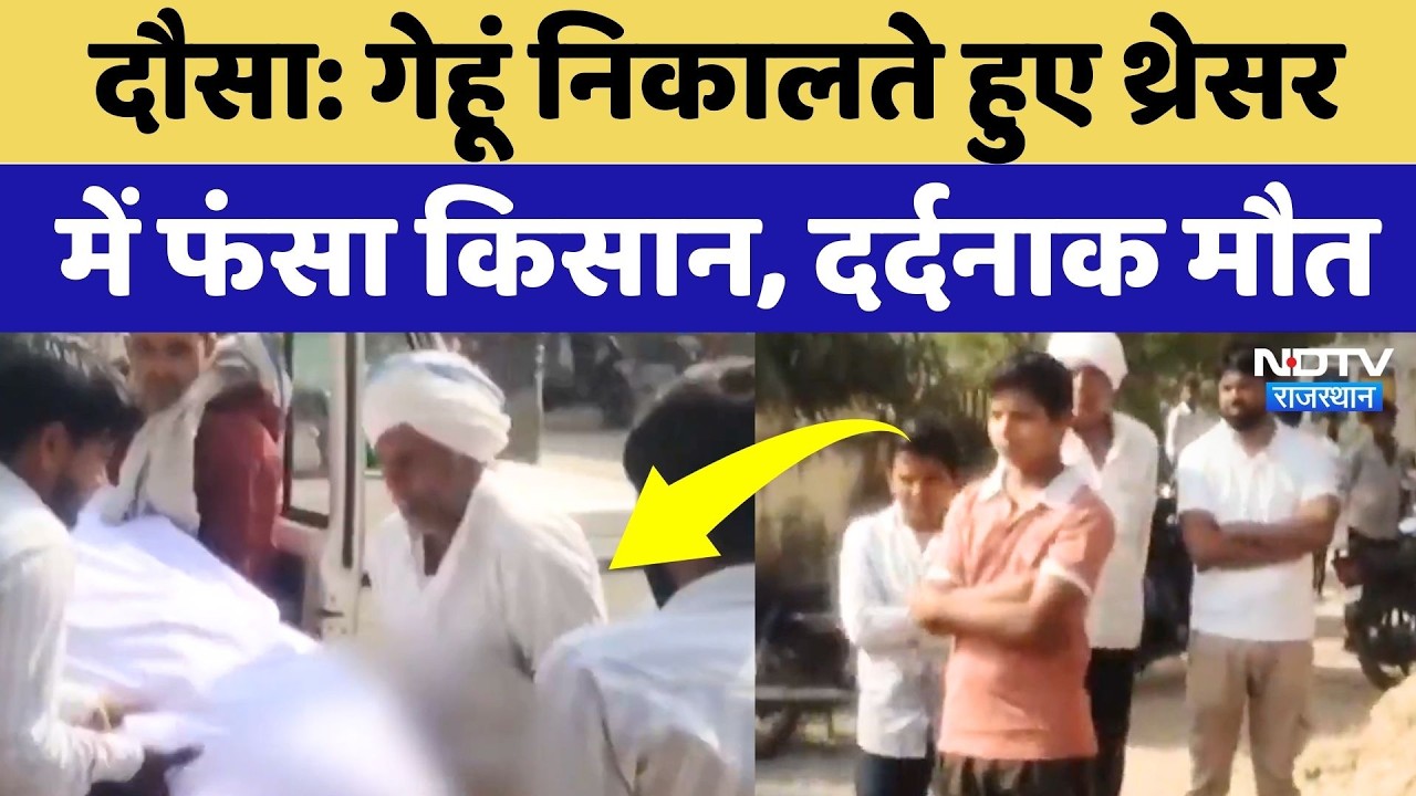 Dausa News: गेहूं निकालते हुए थ्रेसर में फंसा किसान, दर्दनाक मौत! Rajasthan News | Breaking News