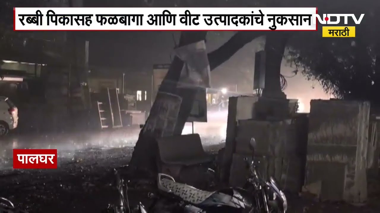 Unseasonal Rain | Palghar मध्ये वादळी वाऱ्यासह अवकाळी पावसाची हजेरी । IMD Rains