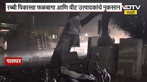 Unseasonal Rain | Palghar मध्ये वादळी वाऱ्यासह अवकाळी पावसाची हजेरी । IMD Rains