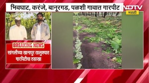 Sangli Hailstorm | सांगलीतील गारपिटीचा द्राक्ष भागांना फटका, घड उद्ध्वस्त, सरकारकडे मदतीची मागणी
