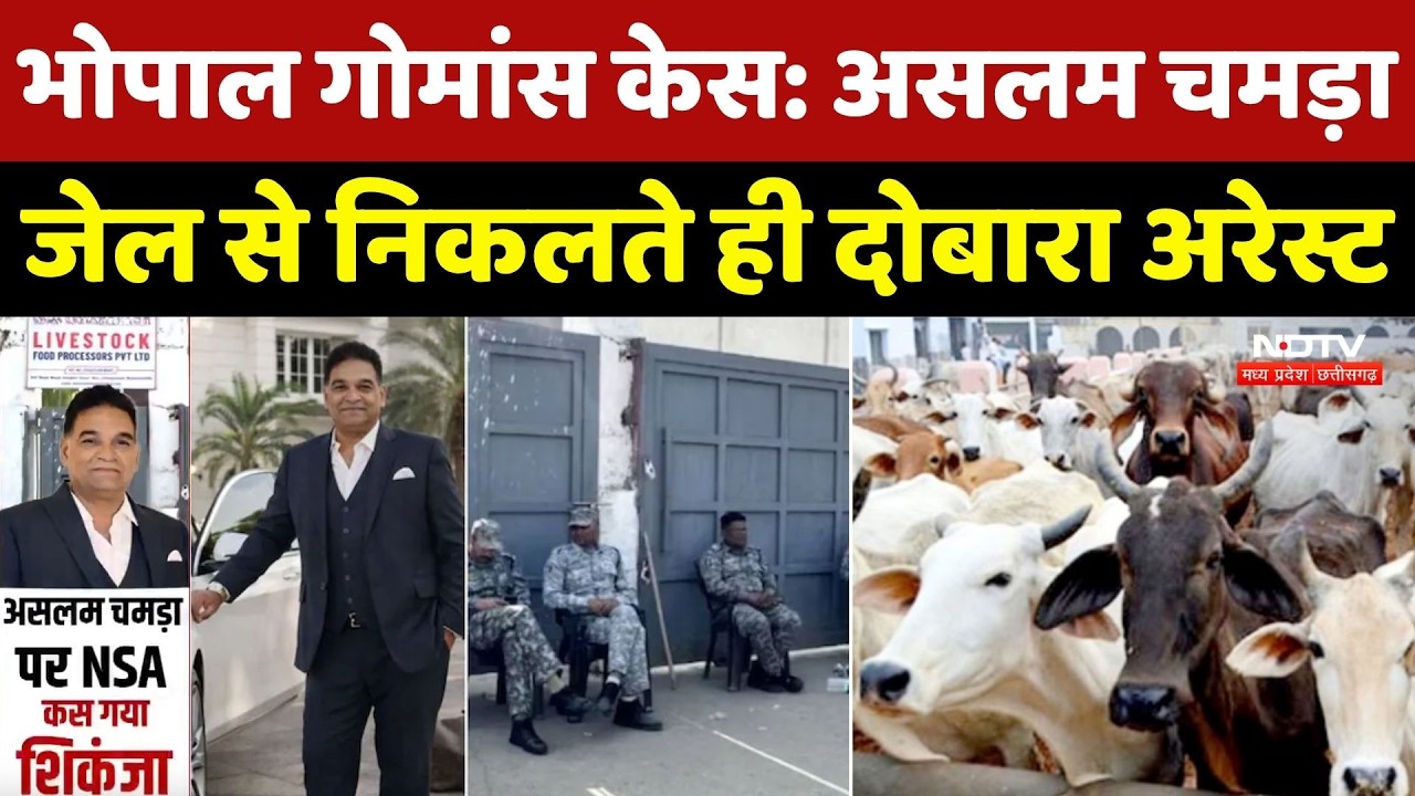 Bhopal Beef Smuggling Case: गोमांस तस्करी को लेकर असलम चमड़ा पर लग सकता है NSA, जानें पूरा मामला