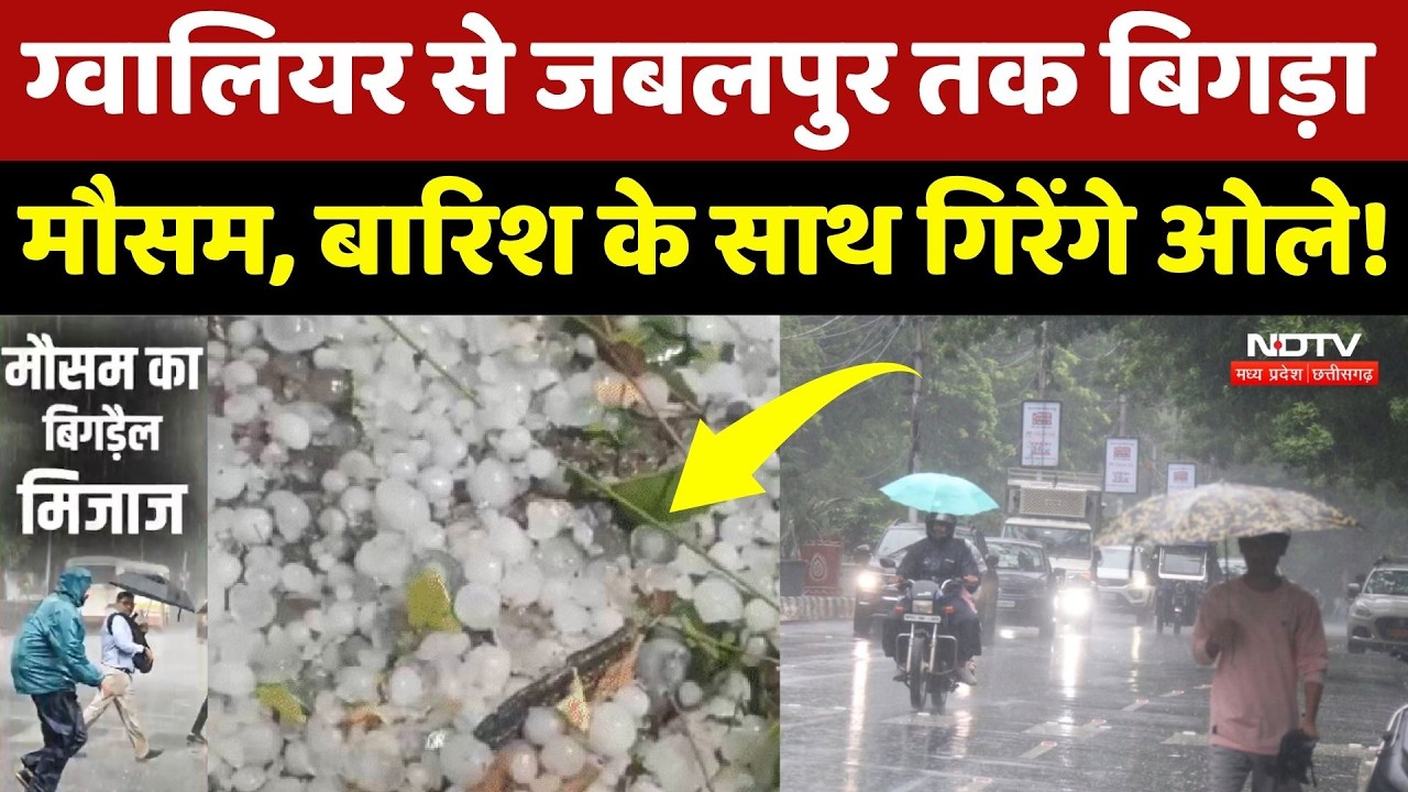 MP Weather: एमपी के 34 जिलों में मौसम विभाग का Alert, कहीं तेज बारिश तो कहीं गिरेंगे ओले! Rain