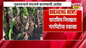 Unseasonal Rains | अवकाळी आणि गारपिटीचं तांडव, धाराशिवमधील केळी शेतीचं मोठं नुकसान | NDTV Marathi