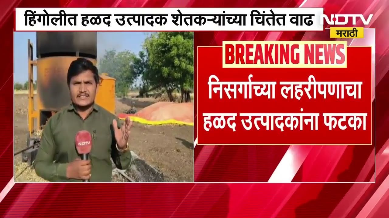 Hingoli मध्ये हळद काढणीला सुरुवात, वादळी वाऱ्यासह होणाऱ्या पावसामुळे मात्र  शेतकऱ्यांच्या चिंतेत वाढ