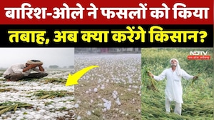 Weather Update: तेज बारिश और ओले से फसलें हुई तबाह, बेबस हुए किसान! Rain Alert | NDTV MPCG News