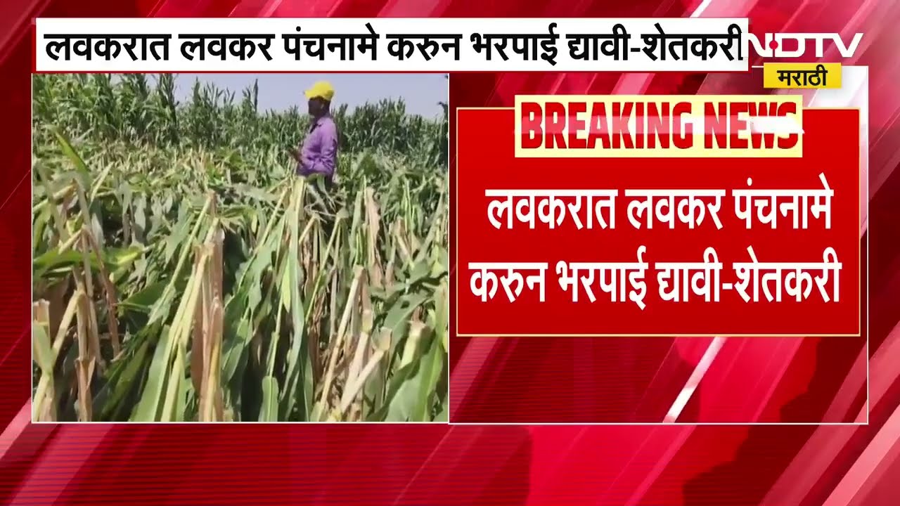 Dhule Unseasonal Rain | धुळे जिल्ह्यात अवकाळीचा फटका, शेतकऱ्यांचे प्रचंड नुकसान