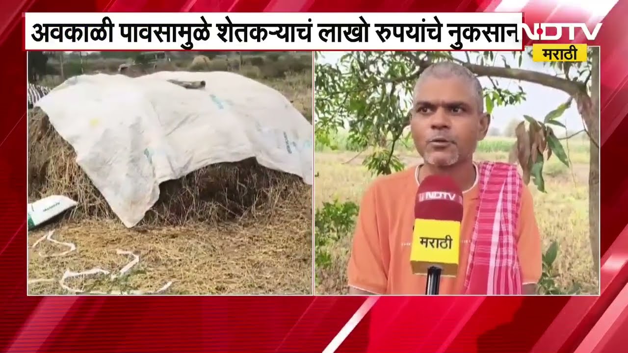 Gadchiroli Rain Alert | गडचिरोलीला हवामान विभागाचा येलो अलर्ट, अवकाळीने शेतकऱ्यांचं लाखोंचं नुकसान