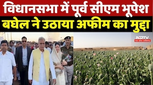 Raipur News:Vidhan Sabha में पूर्व CM Bhupesh Baghel ने उठाया अफीम का मुद्दा | Illegal Opium Farming