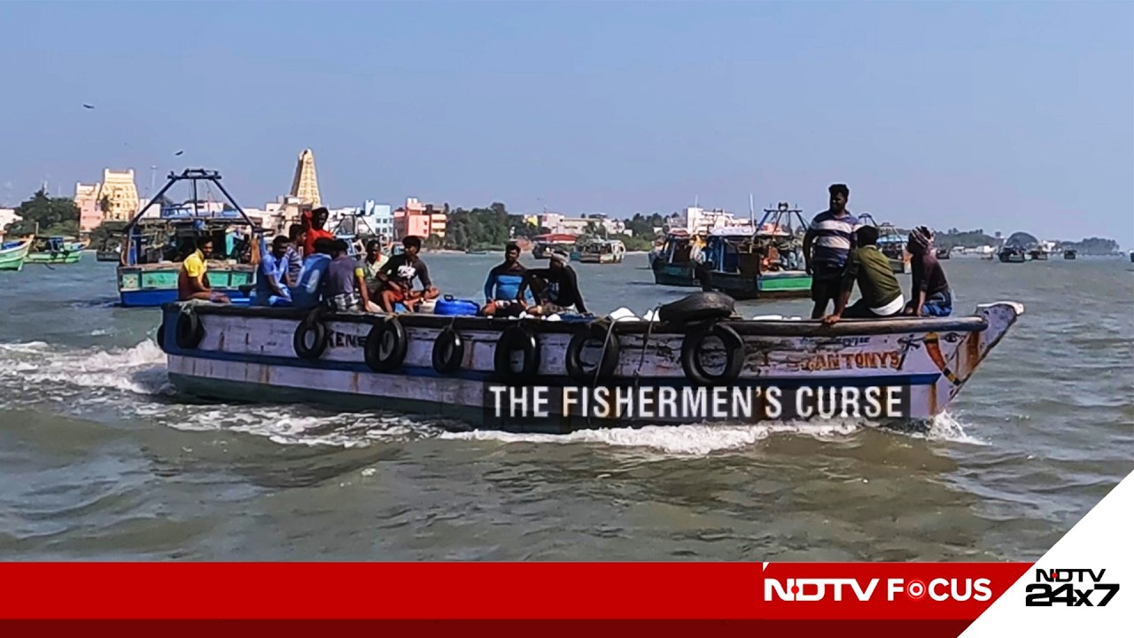 The Fishermen's Curse | NDTV Focus