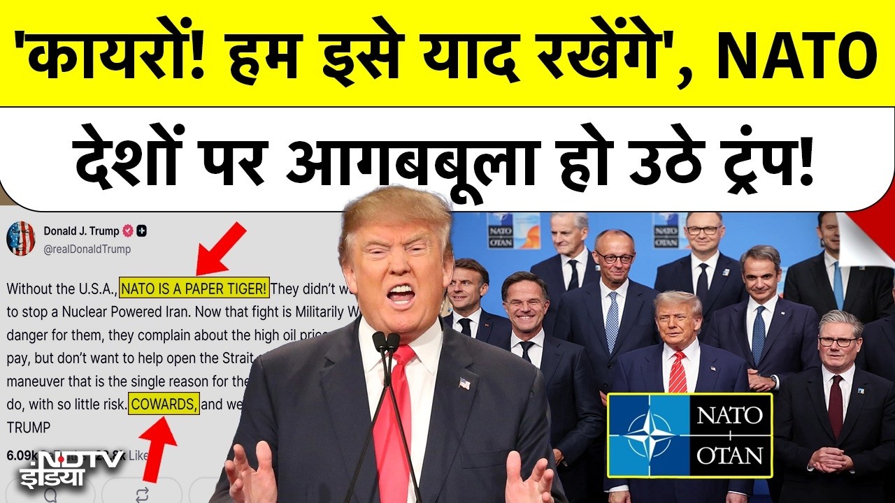 NATO Paper Tiger Without US? ट्रंप का बड़ा हमला, Iran War में Allies को बताया COWARDS