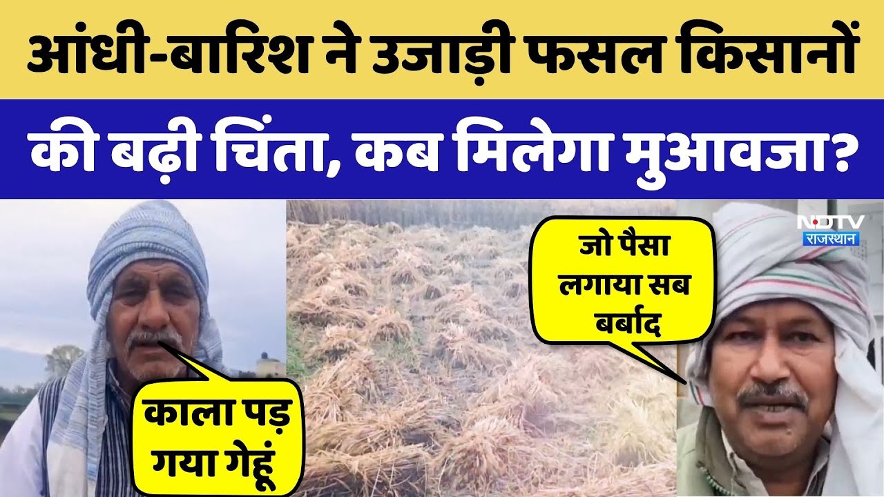 Weather Alert:  Heavy Rainfall से फसल चौपट | CM Bhajanlal Sharma | Viral Video | Top News