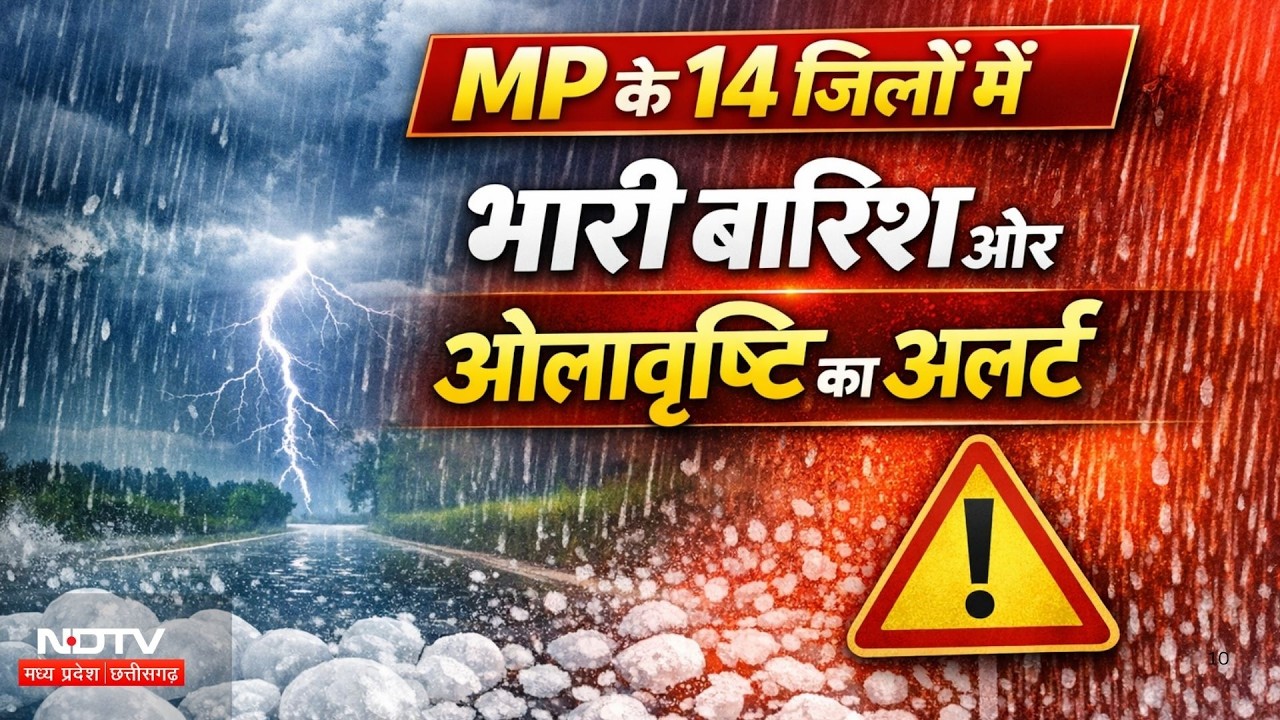Weather Update: MP में मौसम का कहर, 14 जिलों में ओलावृष्टि का अलर्ट, फसलों को भारी नुकसान! Rain