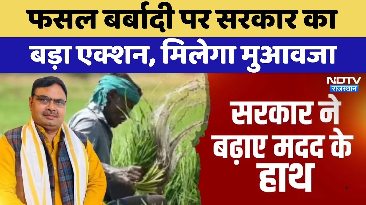 Farmer Compensation: फसल बर्बादी पर सरकार का बड़ा एक्शन, मिलेगा मुआवजा | Kirodi Lal Meena | Top News