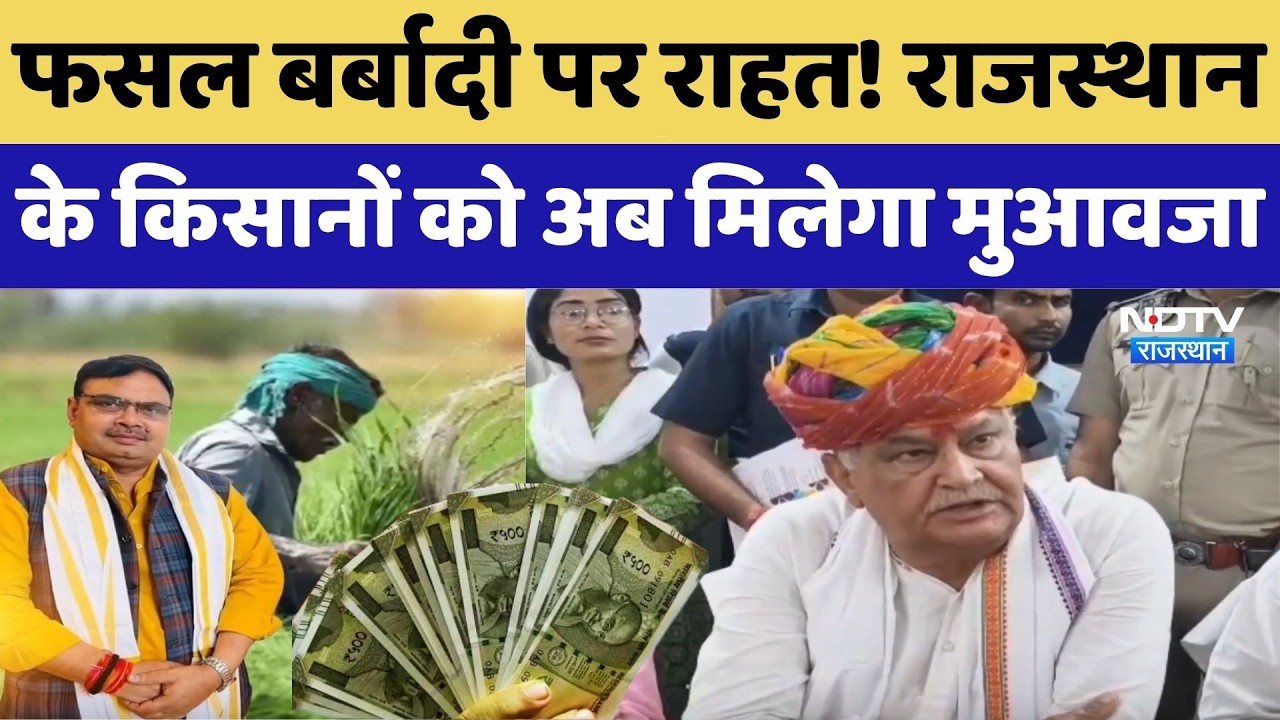 Crop Damage Compensation: फसल बर्बादी पर राहत! Rajasthan के किसानों को अब मिलेगा मुआवजा। Top News
