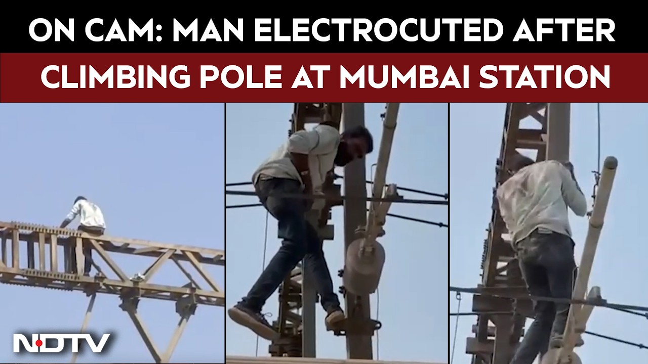 Mumbai News | Man Electrocuted After Climbing Pole, Suffers Severe Burns; Trains Halted