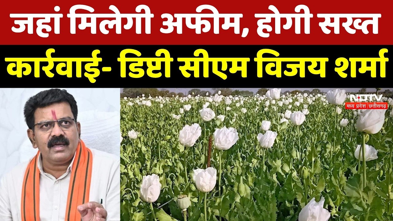 Chhattisgarh News: Afeem की खेती पर Deputy CM Vijay Sharma- जहां मिलेगी अफीम, होगी सख्त कार्रवाई