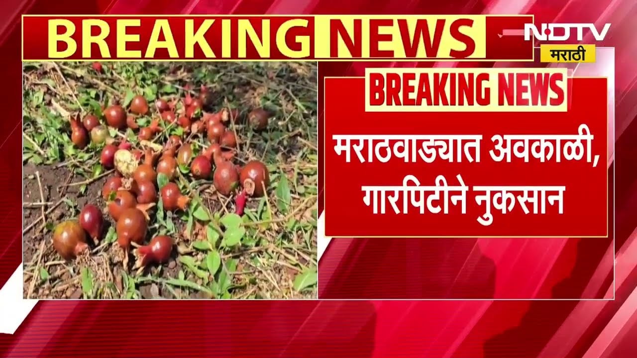 Unseasonal Rains । मराठवाड्यात अवकाळी, गारपिटीने 22 हजार शेतकरी आणि 13 हजार हेक्टरवरील शेतीचं नुकसान