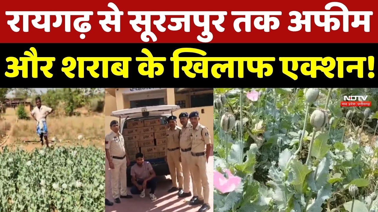 Afeem Farming Case: Raigarh से Surajpur तक अफीम और शराब के खिलाफ एक्शन!
