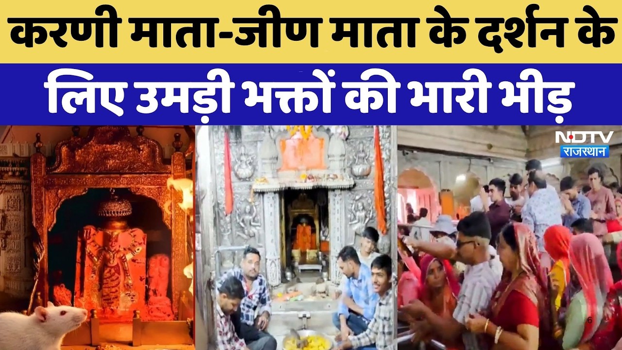 Chaitra Navratri: करणी माता-जीण माता के दर्शन के लिए उमड़ी भक्तों की भारी भीड़ | Rajasthan Temples