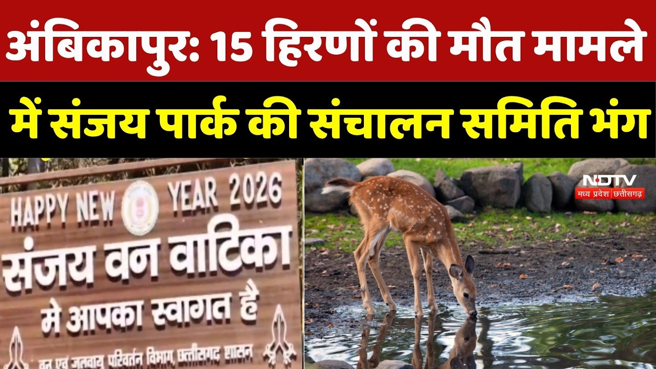 Ambikapur Sanjay Park Deer Deaths: 15 हिरणों की मौत मामले में Sanjay Park की संचालन समिति भंग | CG