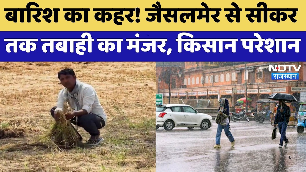 Heavy Rain: बारिश का कहर! जैसलमेर से सीकर तक तबाही का मंजर, किसान परेशान | Crop Damage