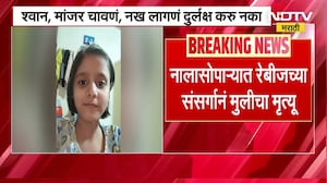 Dog, cat bites alert शश्वान, मांजर चावणं, नख लागणं, दुर्लक्ष करू नका, पाहा Nalasopara मध्ये काय झालं