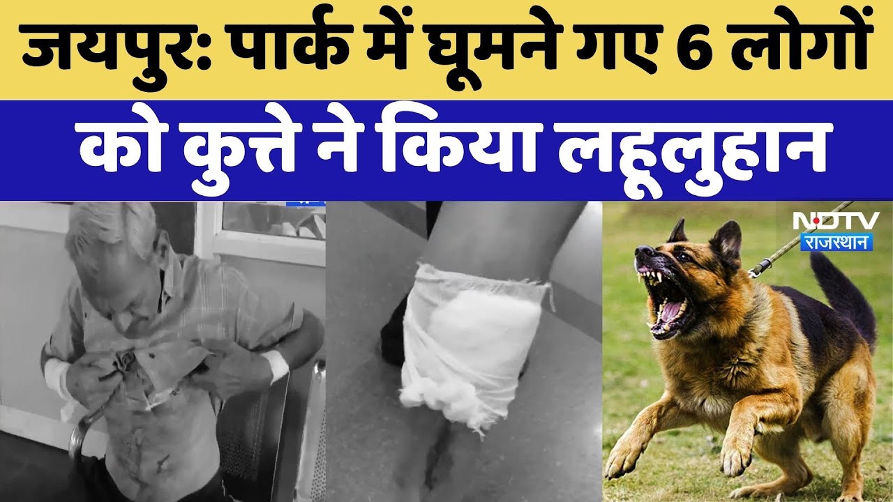 Morning Walk पर जा रहे छह लोगों पर कुत्ते का हमला | Crime News | Rajasthan Top News | Viral Video