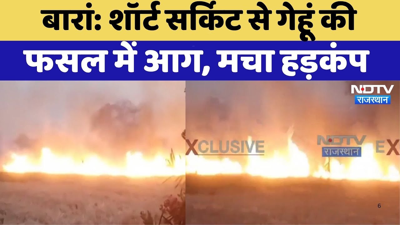 Baran News: Short Circuit से Wheat की फसल में लगी आग | Viral Video | Rajasthan Top News