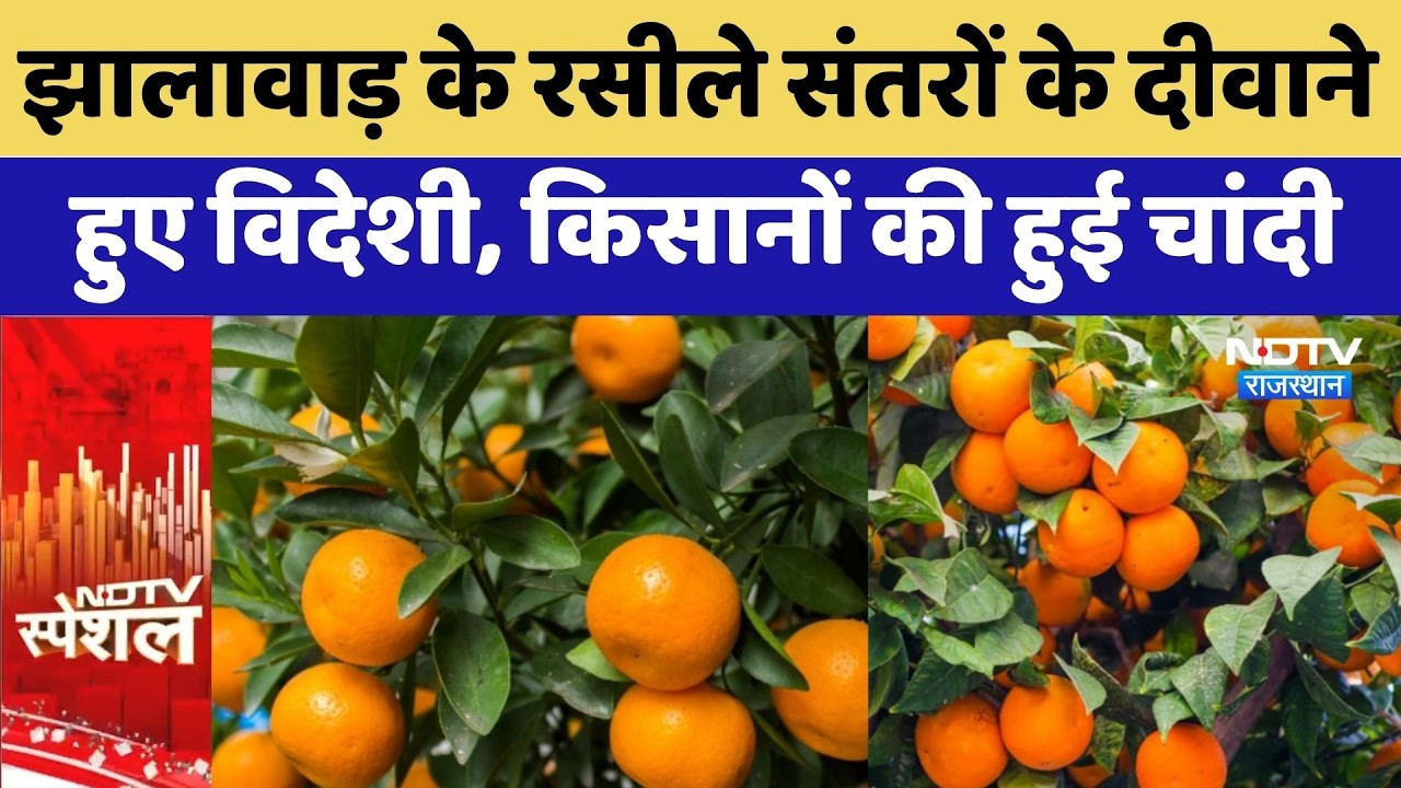 Jhalawar के रसीले Oranges के दीवाने हुए विदेशी, किसानों की हुई चांदी | Top News