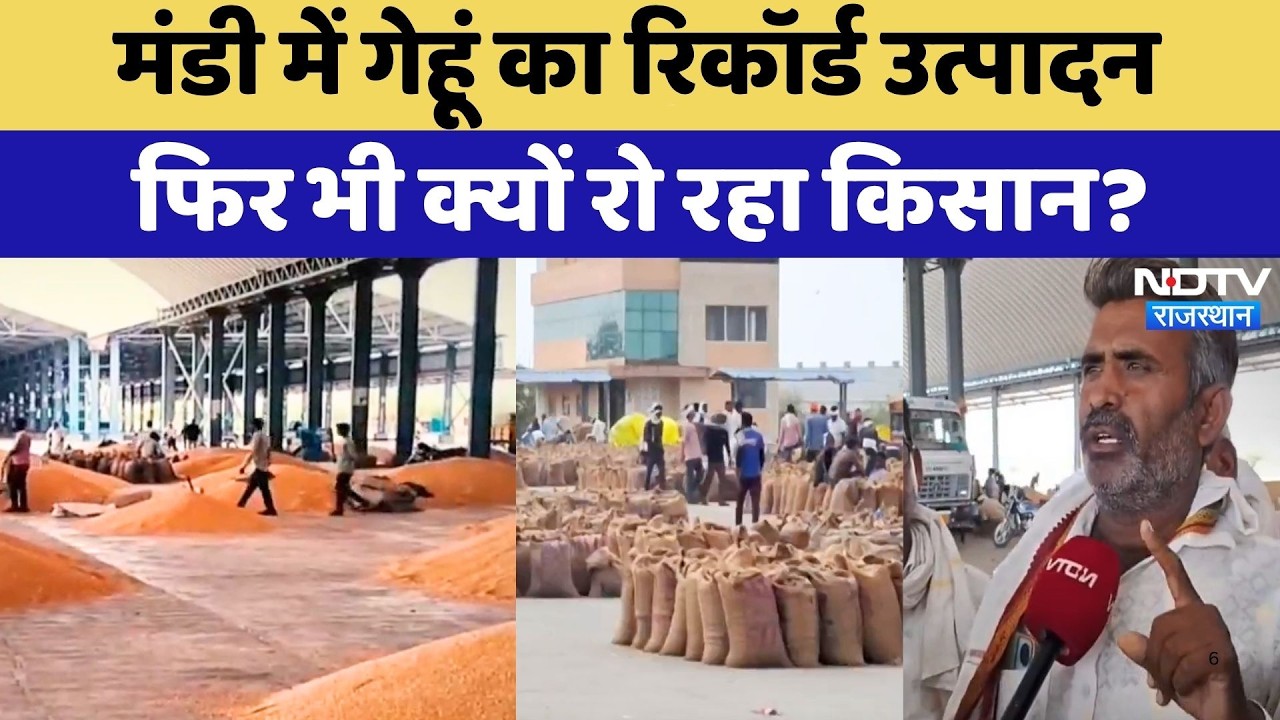 Bundi News: मंडी में गेहूं का रिकॉर्ड उत्पादन,  फिर भी क्यों रो रहा किसान? | Top News