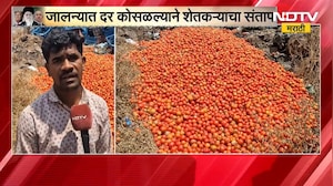 Jalna। दर कोसळल्याने शेतकऱ्यांचा संताप, भाव न मिळाल्यानं 25 क्विंटल Tomato रस्त्यावर फेकले | NDTV