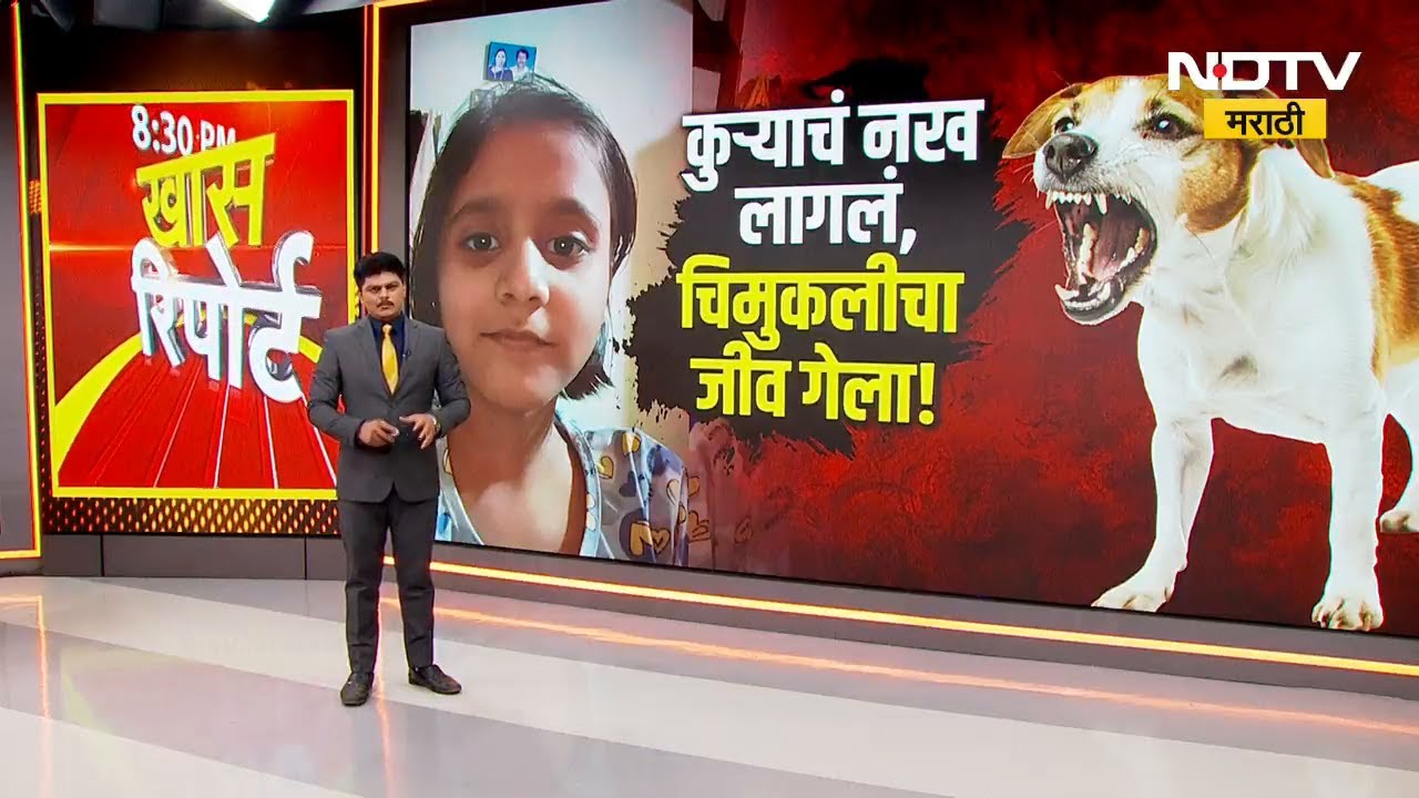 Special Report। Nalasopara Dog Attack | भटक्या कुत्र्यांच फक्त नख लागलं, चिमुकलीचा जीव गेला! NDTV